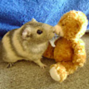 Meet your Posher, Jane